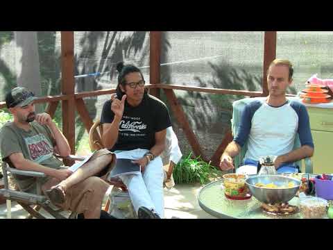 2016-09-17 NSSAT NSDRM Dream Exploration: Eldar ; The Meaningfulness of Dreams vs Waking Life