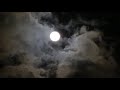 Happy Sharad Purnima 2020 WhatsApp Status Video Please Share