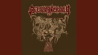 Victim of the Insane