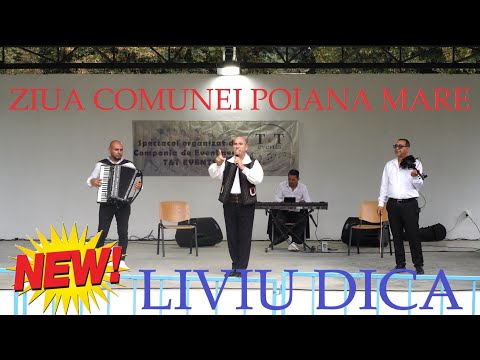 LIVIU DICĂ⭐CEL MAI TARE COLAJ DE MASA ASCULTARE NEW 2023⭐█▬█ █ ▀█▀⭐​2023