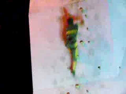 Eric Noya - Competencia de velocidad - distrito 2008