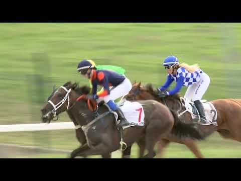 2021.08.08. 08. futam - VADÁSZ ÉS VERSENYLAP HENDIKEP (V/b.) (szintetikus pálya)