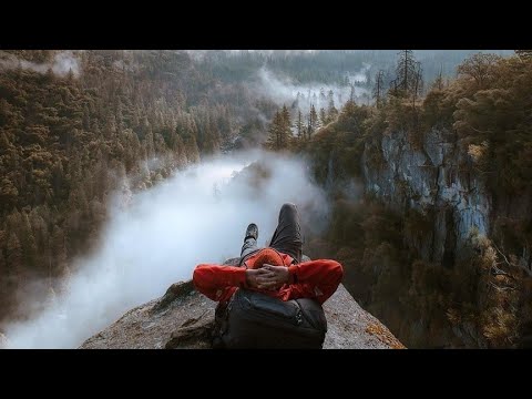 Dmitry Molosh, Gai Barone, Cream, Anton MAKe, Antrim, Forty Cats, Magistr Progressive - Progress 040