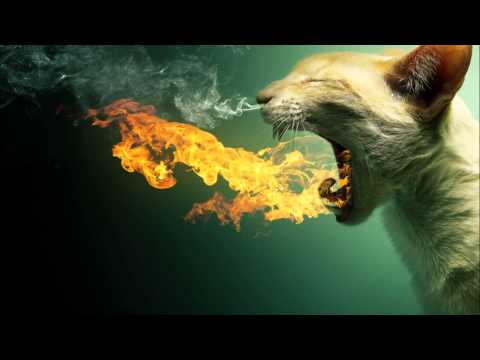 Axis of Justice - Charades