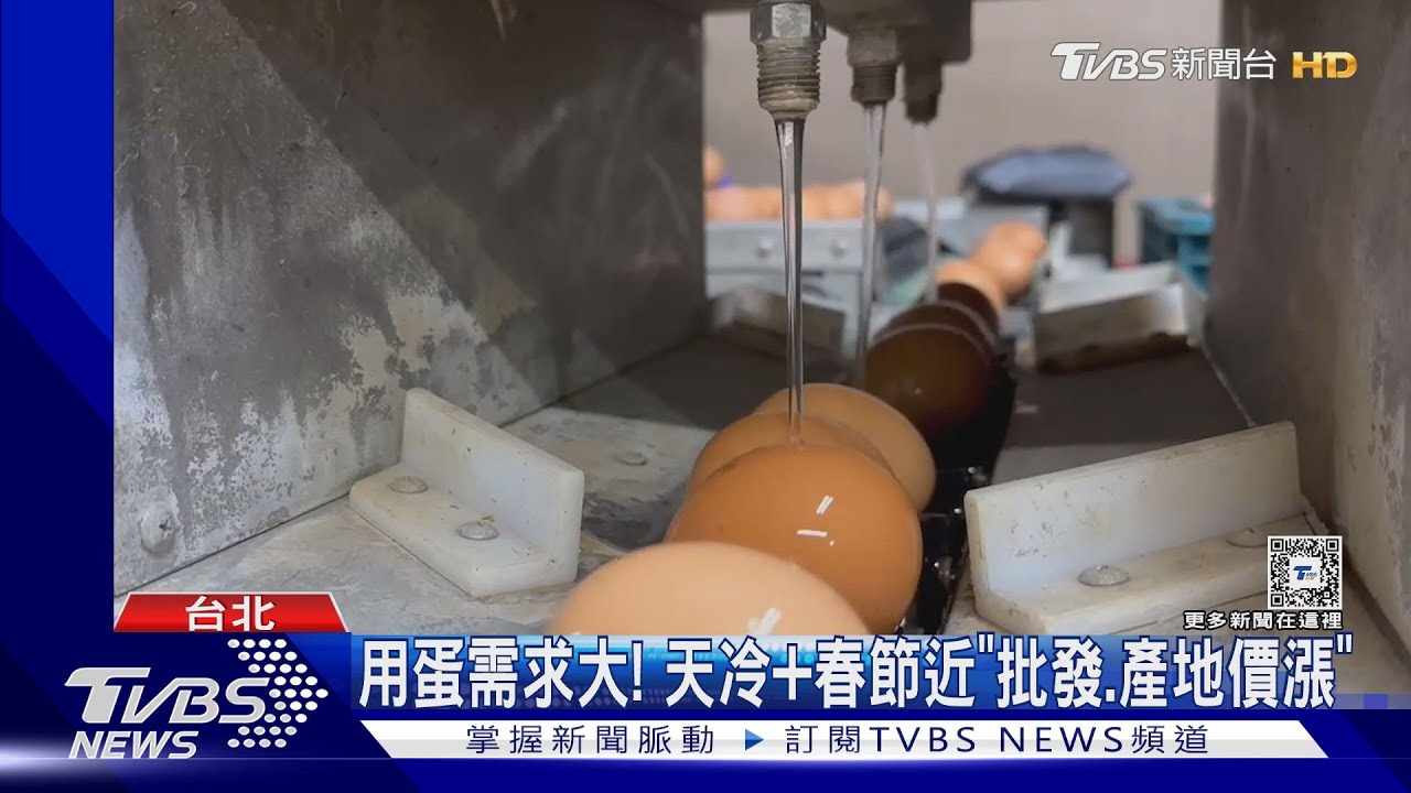 寒流襲「產蛋量降」！殼蛋漲2元　液蛋恐也變貴