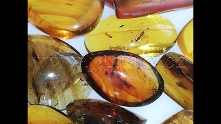  Křídový jantar SJ-89