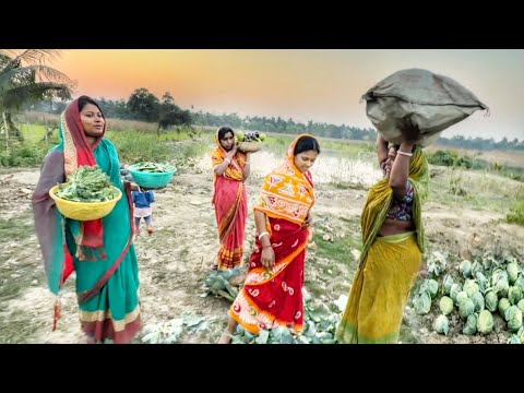 আমাদের বাগানের শীতের যা সব্জী ছিল সব কেটে ফাঁকা করে দিলাম