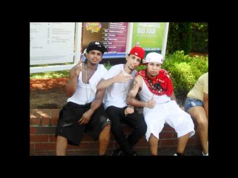 el peluche rabandolo