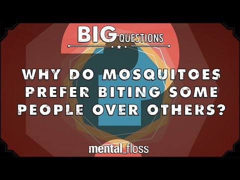 【生活小常識】為什麼蚊子會選擇性叮人？　(Why do mosquitoes prefer biting some people to others? - Big Questions - (Ep. 26))