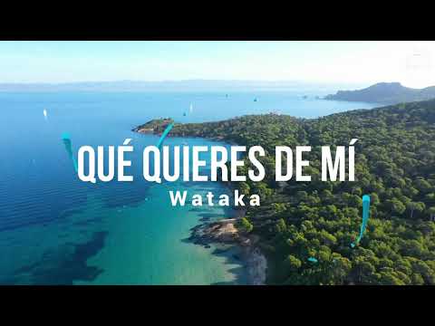 Video Lyric - Qué Quieres De Mi - Wataka