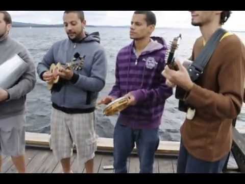 ethno sweden 2013 cool brazil