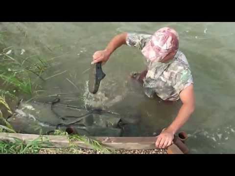 eliberare 20,27 SICLAU 1