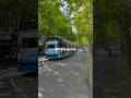 This Is Melbourne Australia Spring In Australia Melbourne Minivlog