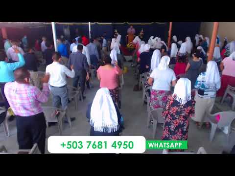 CUANDO LA FE FLAQUEA  24/04/2022 (Pastor Ricardo Mena +503 7681 4950)