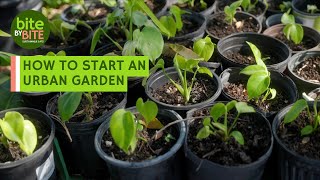 How to Start an Urban Garden | Bite by Bite: Sustainable Eats