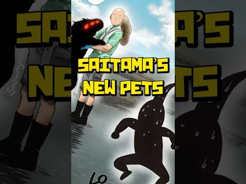Saitama Adopts a Dragon Level Monster | One Punch Man Manga Saitama's Monkey Explained
