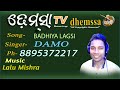 Download Badhiya Lagsi Dhemssa App Mp3 Song