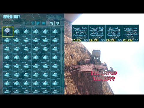 SOLO Fresh Start On Small Tribes - Ark Survival Evolved