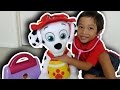 Bryce Plays With Doc McStuffins Doctor S Bag Set With Paw Patrol Marshall