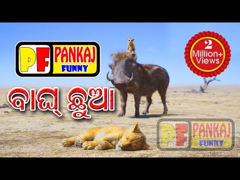बाघ छुआ🐯🐯sambalpuri best funny video😎😎