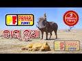 बाघ छुआ Sambalpuri Best Funny Video