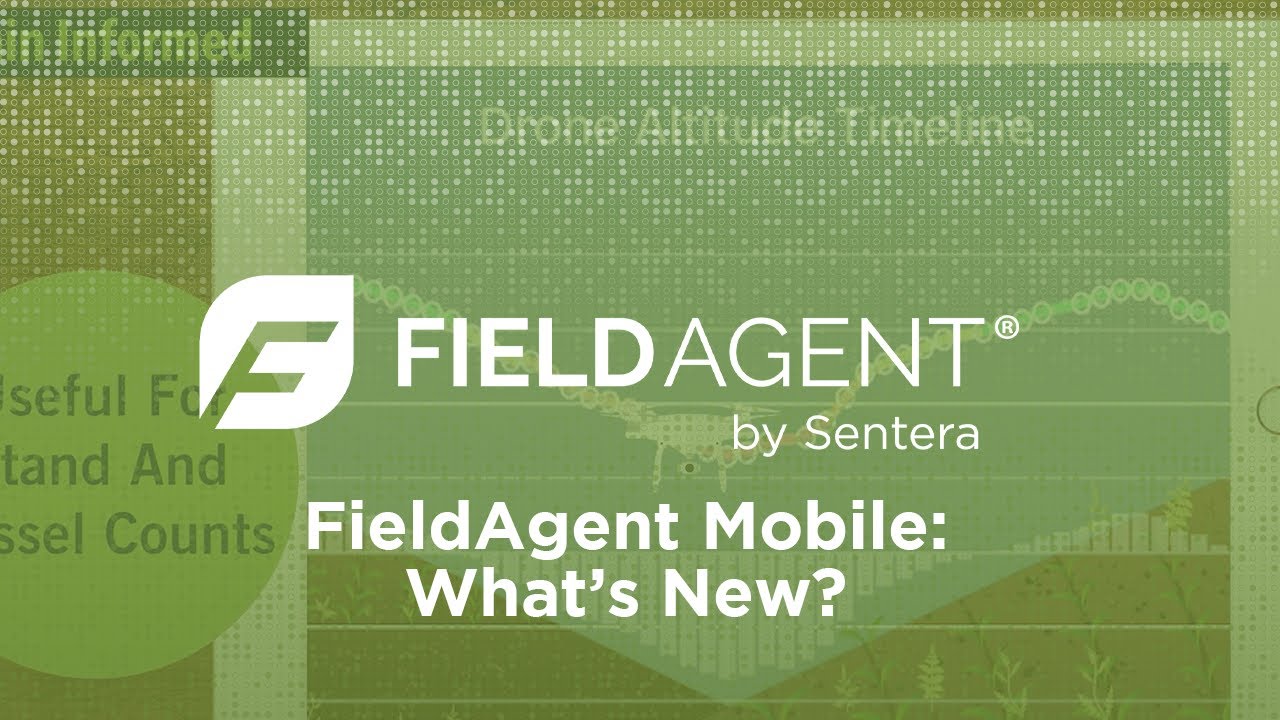 FieldAgent Mobile Terrain Informed Flight Planning and Real-Time Mapping