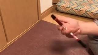 VAING*2 test 本家配色