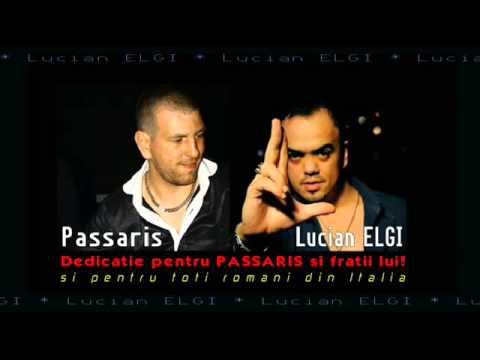 Lucian ELGI   Passaris si fratii lui