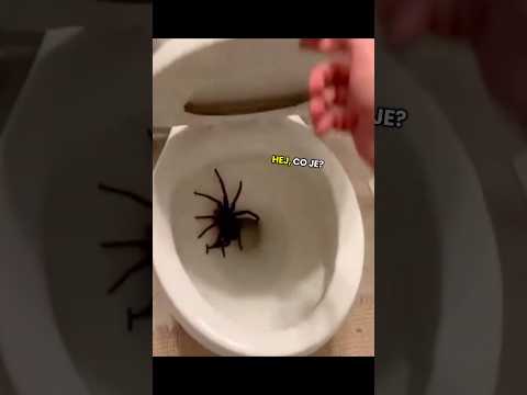 CO TO ŘEKL?
