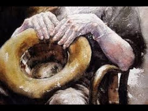 Novo Rumo video