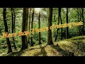 Like the Wind in the Trees - (Deuter)