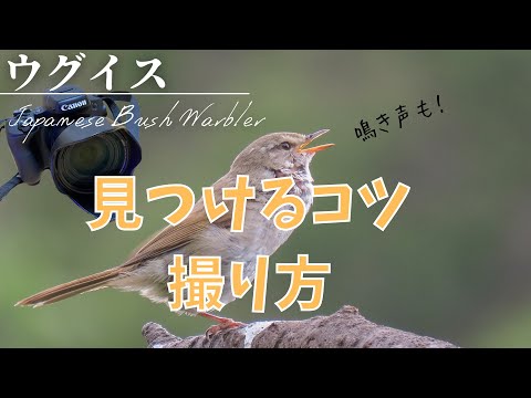 IUCN分類における絶滅の危険性を示す図。