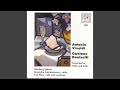 Concerto for Violin, Cello and Orchestra D minor: Andante