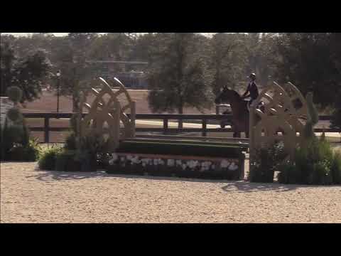 Dollar Del Colle video 3