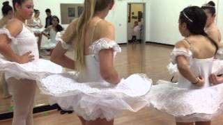 Laura Marie Dance Academy DS 2014-2015