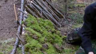 Building Your Own Moss Survival Shelter | Bushcraft Survival