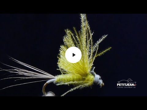 MP 13 by Marc Petitjean