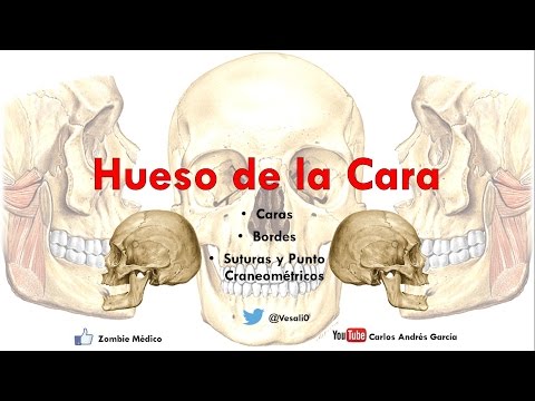 download lagu mp3 mp4 Unguis, download lagu Unguis gratis, unduh video klip Unguis