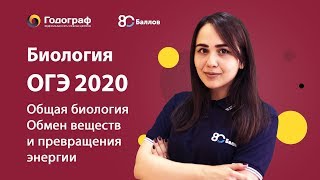 ОГЭ по биологии 2023. Признаки живых организмов. Обмен веществ и превращения энергии. - фото