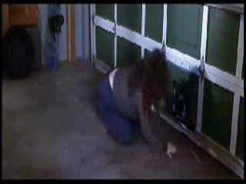 Escenas graciosas de Scary Movie 1