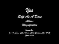 Yes - Soft As A Dove