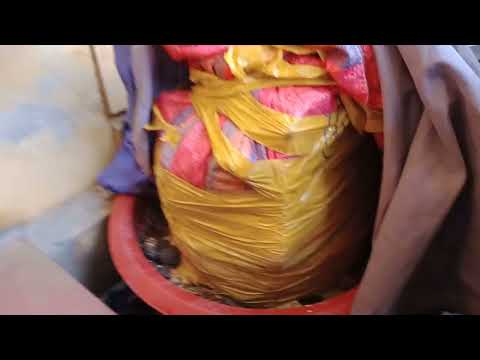 đến bao giờ thì thành siêu phẩm đây