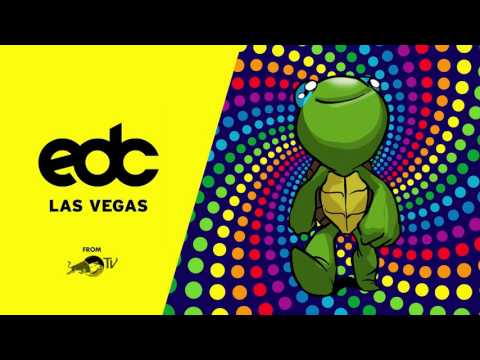 TRIPPY TURTLE @ EDC LAS VEGAS 2017 [AUDIO]
