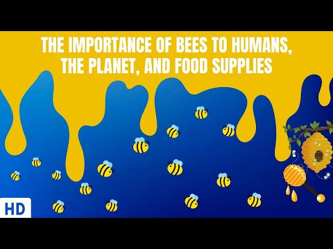 All About Allergy Shots