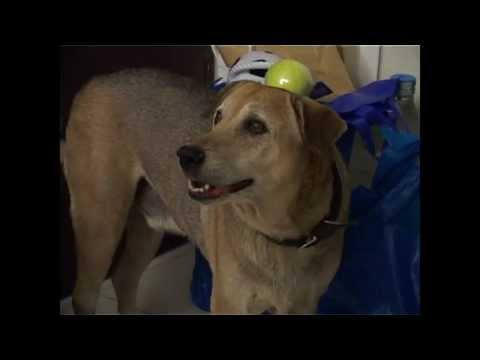 Dino Morea and Slidey in New PETA Ad