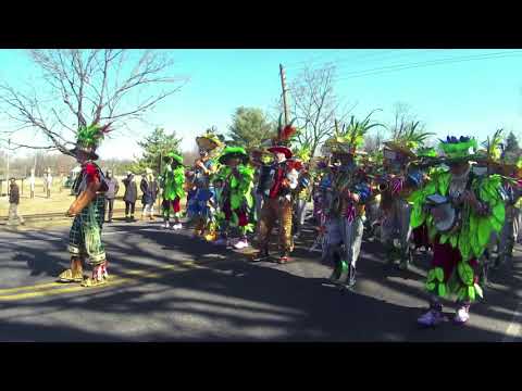 AVALON STRING BAND - MCNAMARAS BAND