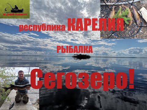 рыбалка в Карелии - Сегозеро, лето 2020.