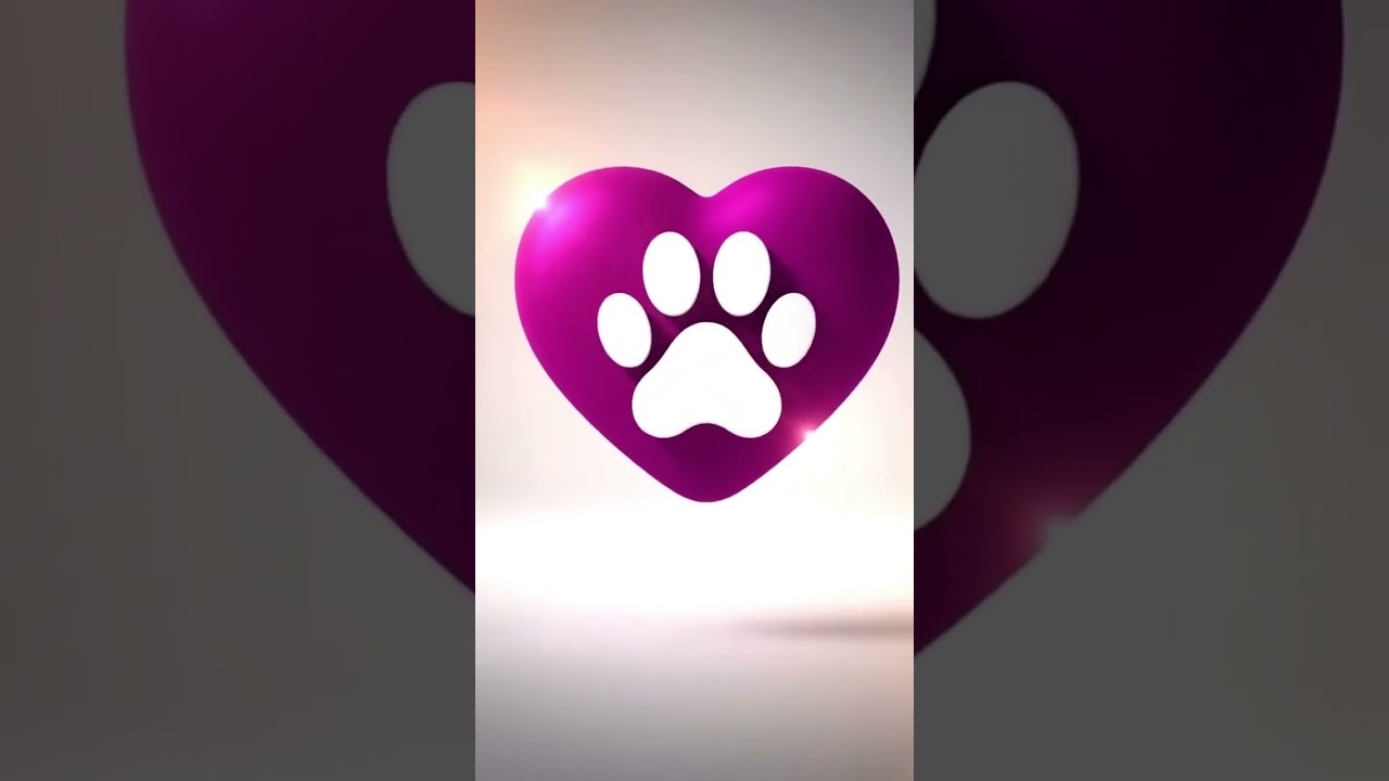 Gato raça Siamês idade 2 a 6 meses nome Docinho 