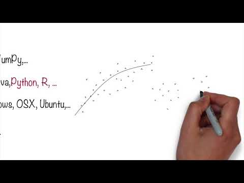 What's the Value of the AI Stack