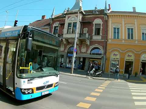 Durva buszos pirosozás LMG-119